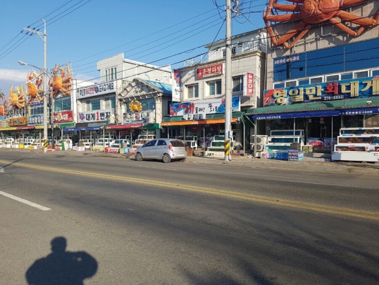 구룡포회센터 이미지