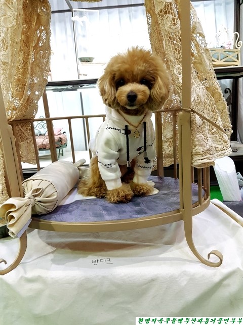 (주)아랑지 이미지