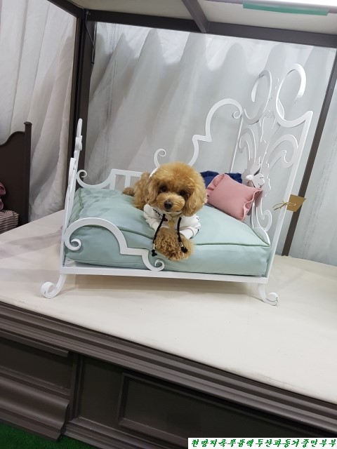 (주)아랑지 이미지