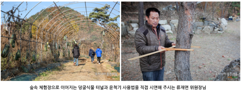 녹색농촌체험장 이미지