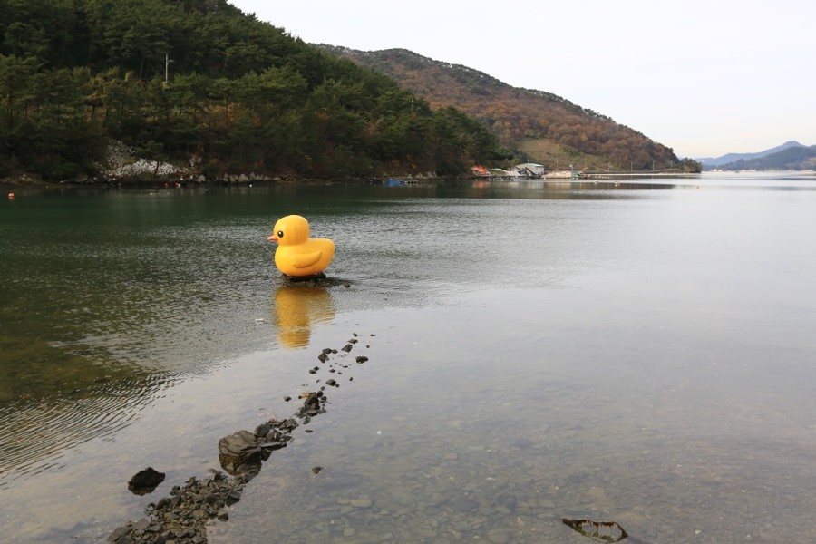 카페드안트워프 이미지