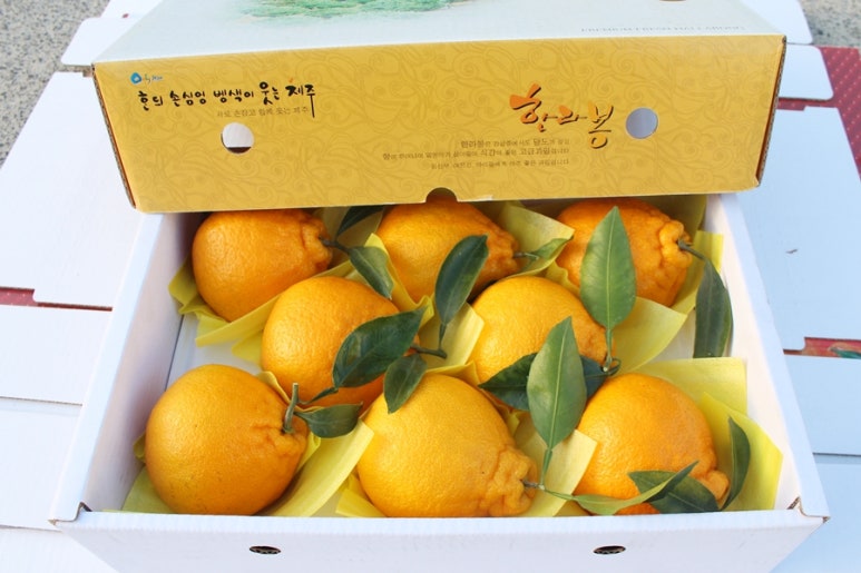 온새미 영농법인 이미지
