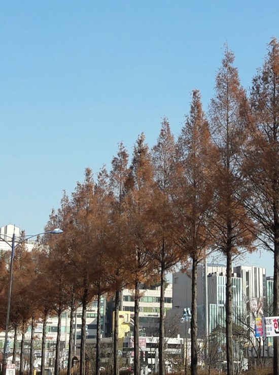 계절이야기 이미지