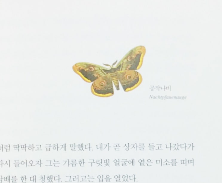 헤세더 이미지