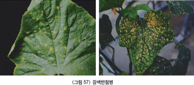 대목반점 이미지