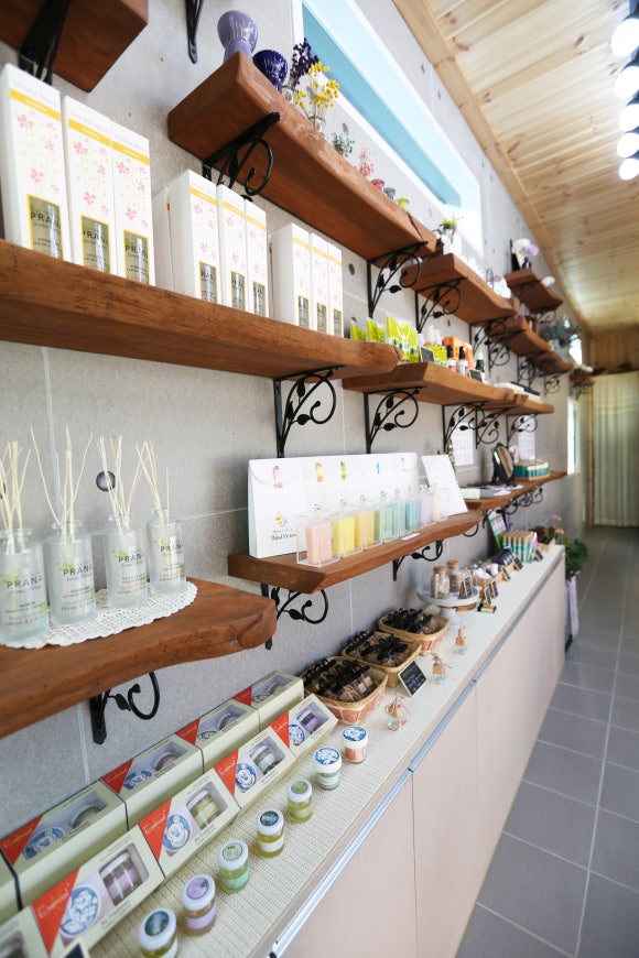 각향각색place 이미지