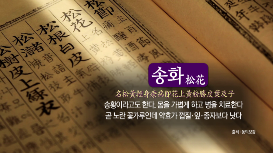 스마일화분 이미지
