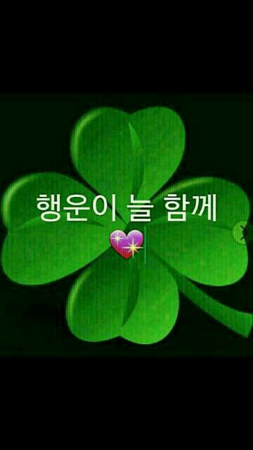 순흥애꽃 이미지