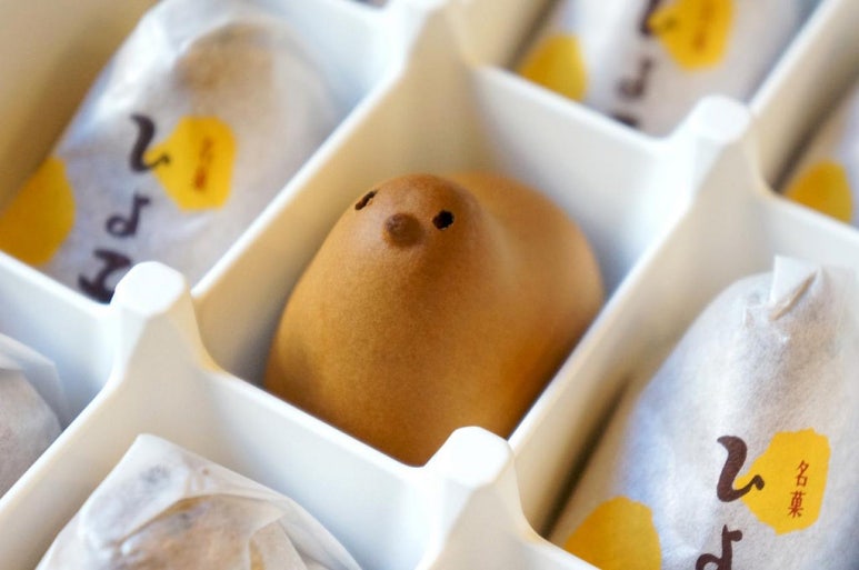 히요코 이미지