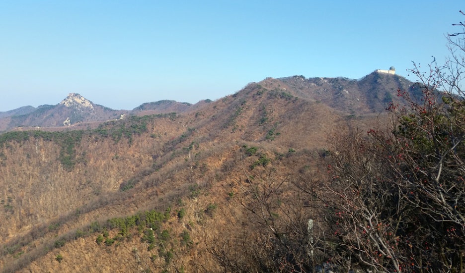 너구리산 이미지