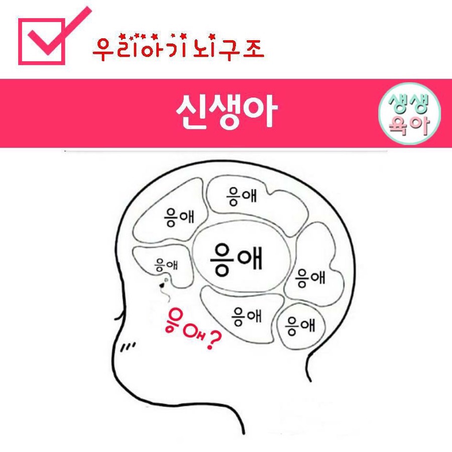 한창구조 이미지