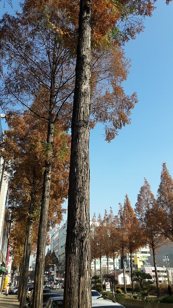 계절이야기 이미지