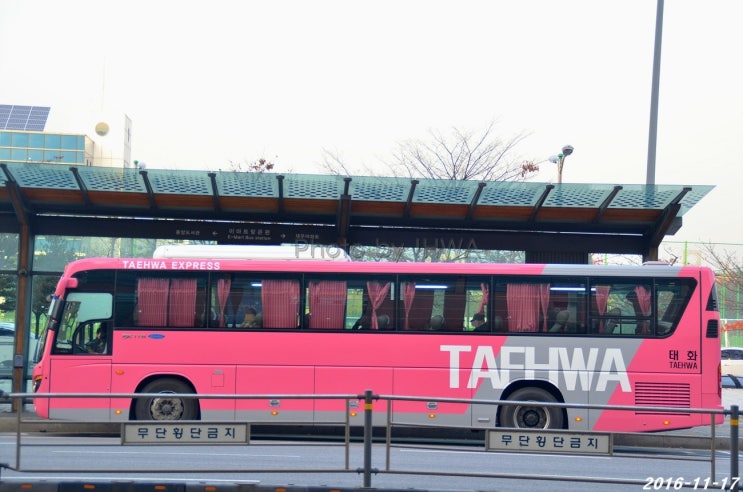 동남상운 이미지