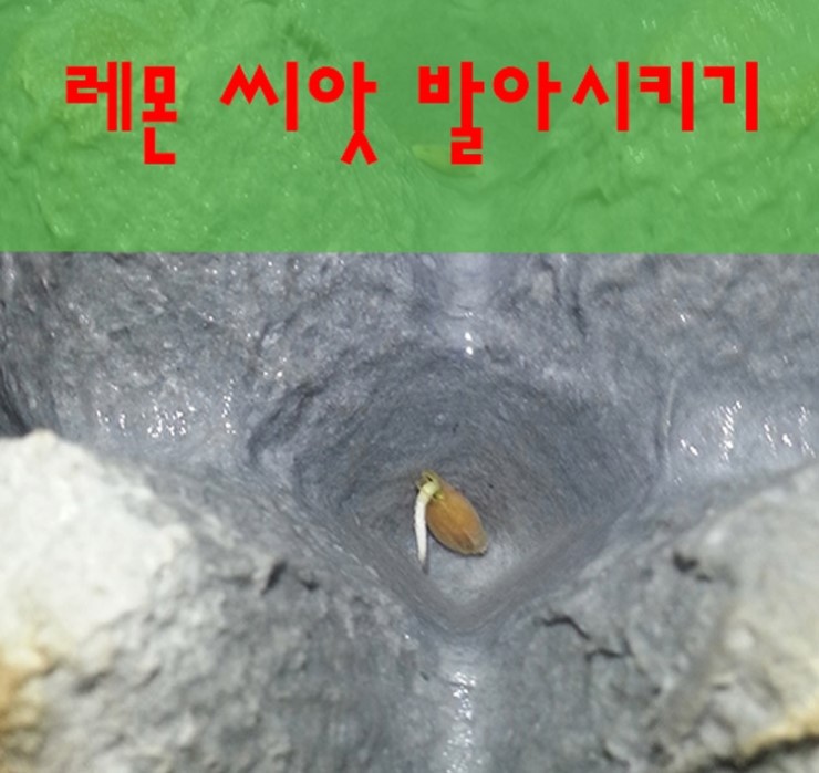 미래농산 이미지