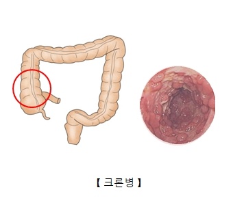 삼성항외과 이미지