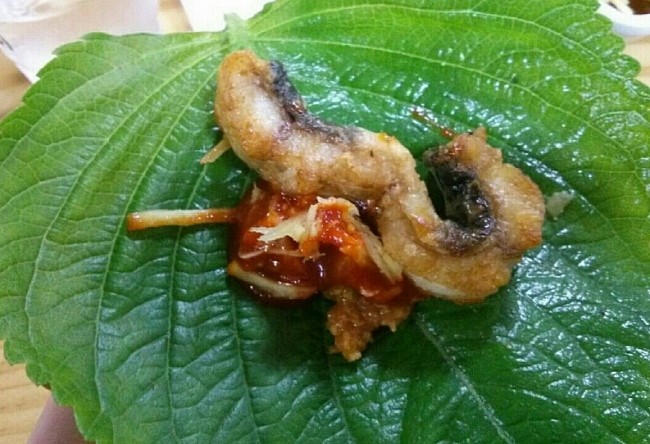 기운센장어 이미지