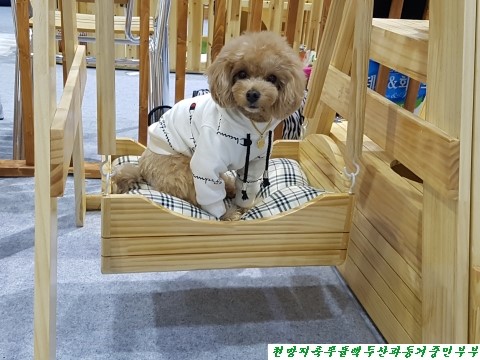(주)아랑지 이미지