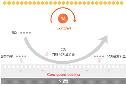 세라가드 이미지