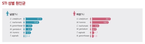 알이피씨 이미지