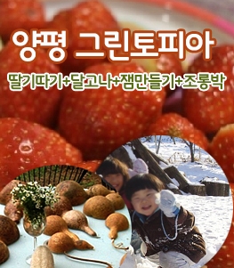 그린토피아 이미지