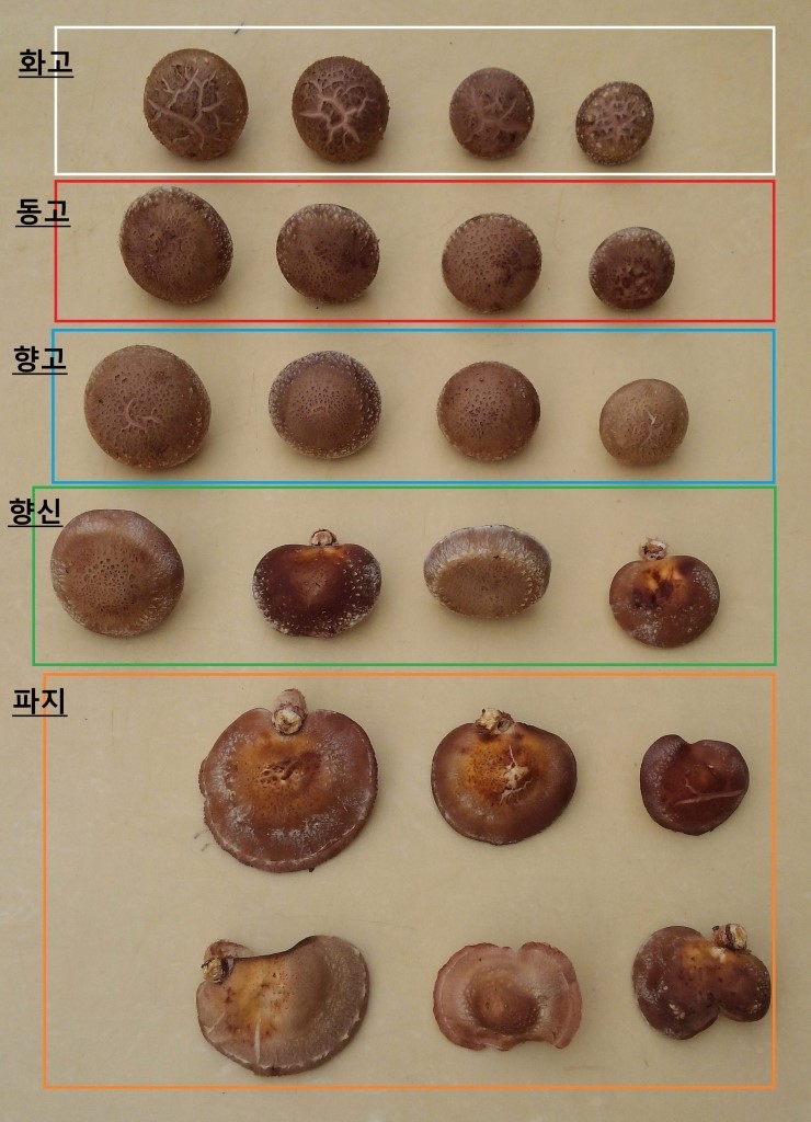 대흥농장 이미지