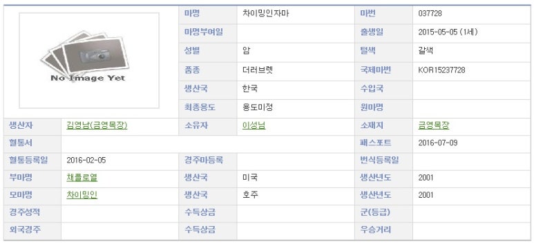 차이밍 이미지