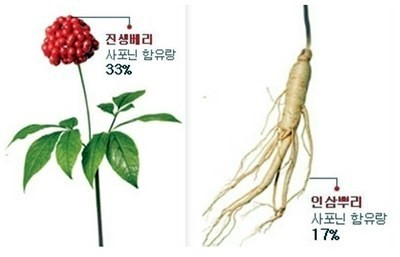 인삼열매(주) 이미지