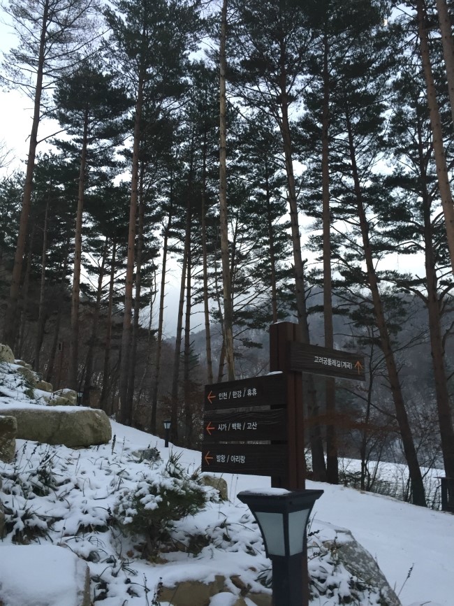진태원 이미지