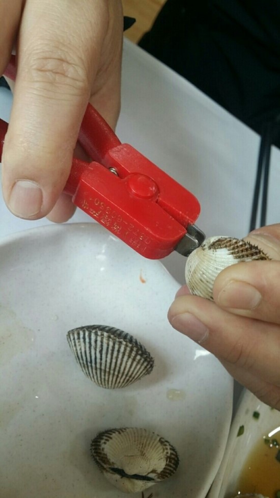 순흥애꽃 이미지