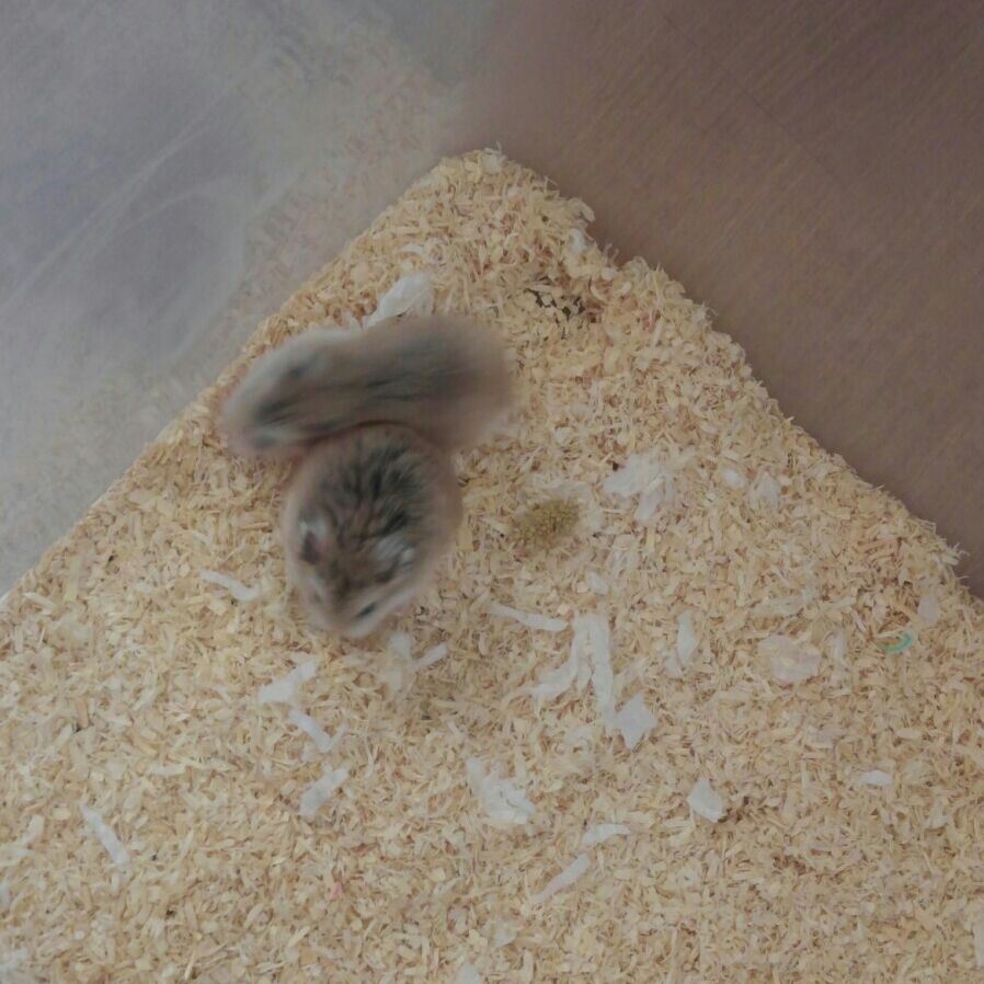 엔12 이미지