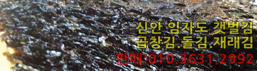 가메스시 이미지