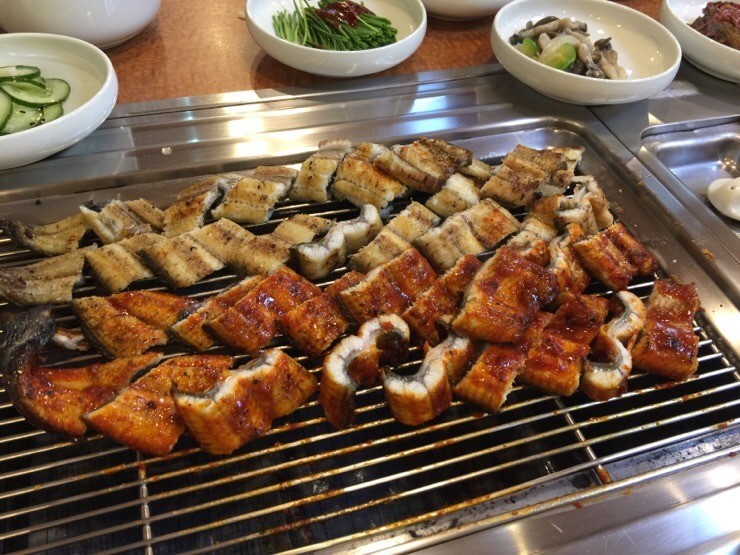 여자만장어 이미지