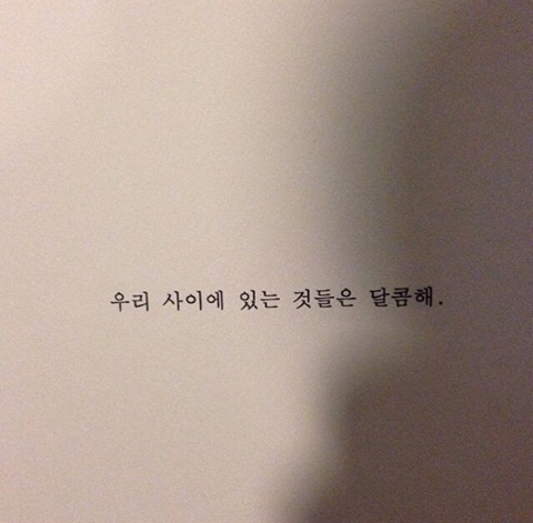 윔즈 이미지