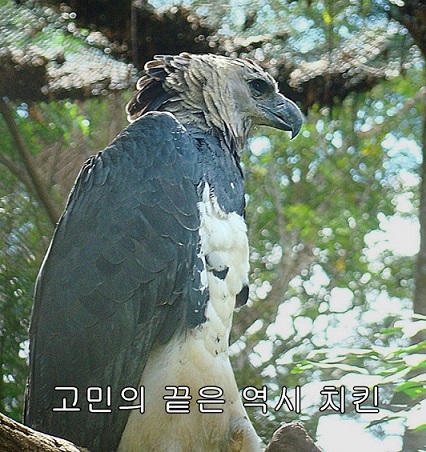 영동소금구이 이미지