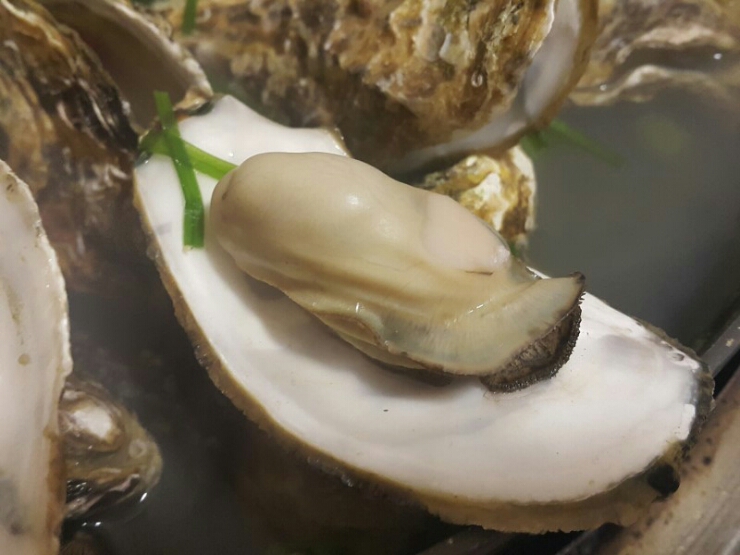 석화야식 이미지