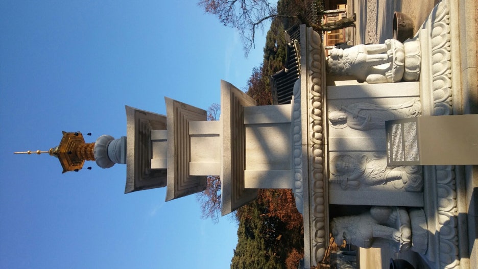 해청원 이미지
