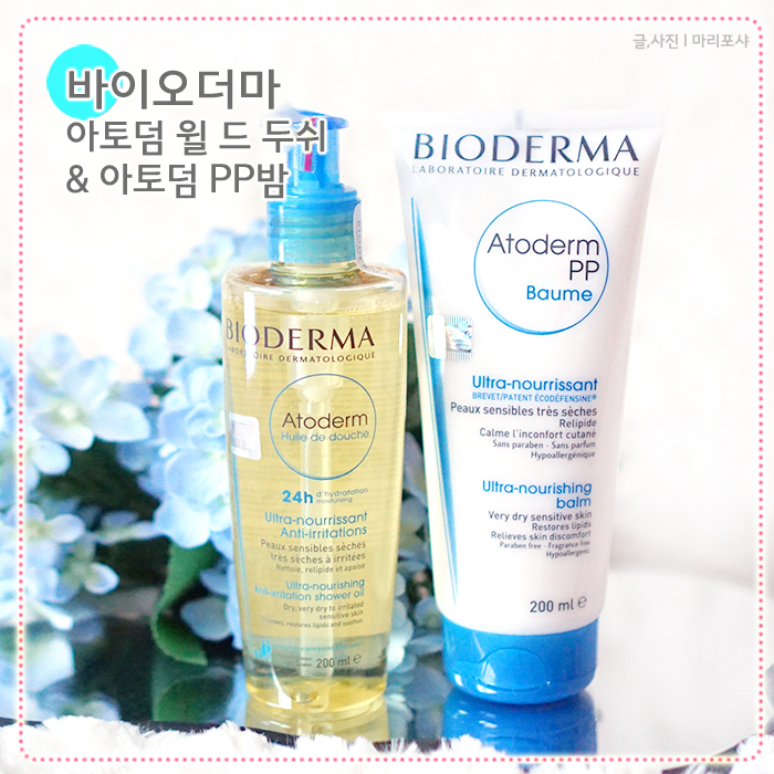 영앤윌 이미지