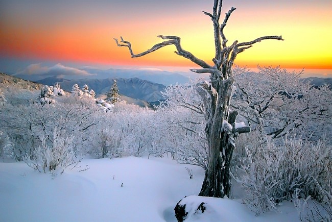 이수산 이미지