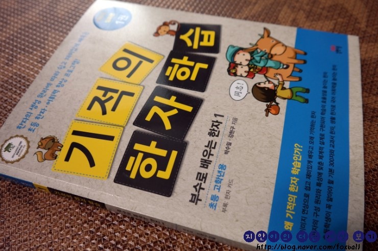 손.수[手] 이미지