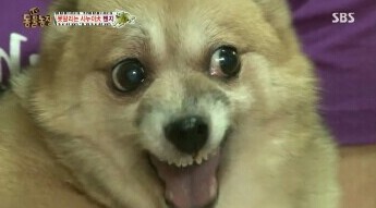 설렘 이미지