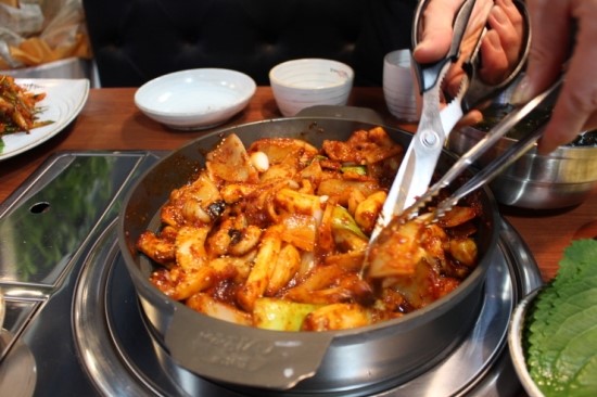 조가네갑오징어 이미지