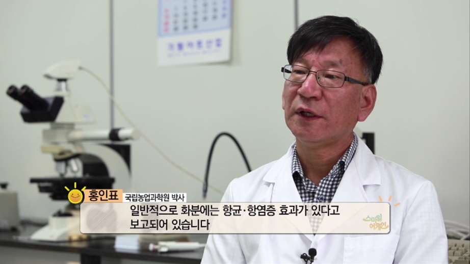 스마일화분 이미지