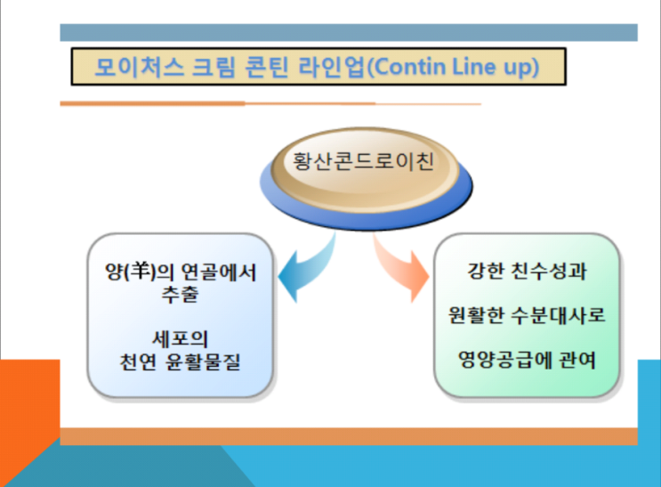 림에스테틱 이미지