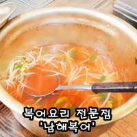 남해복어 이미지
