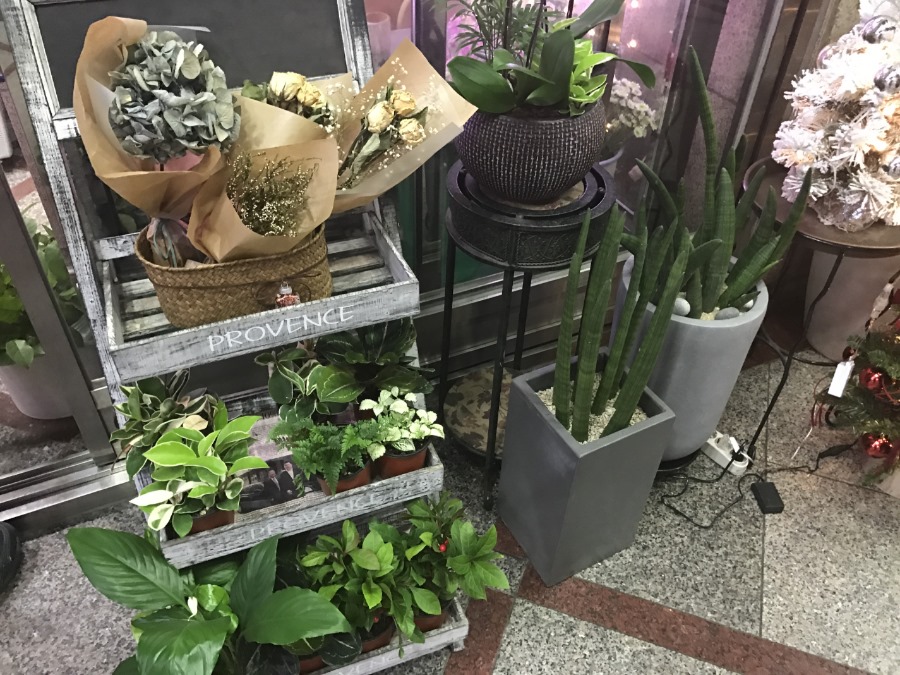 상록화원 이미지