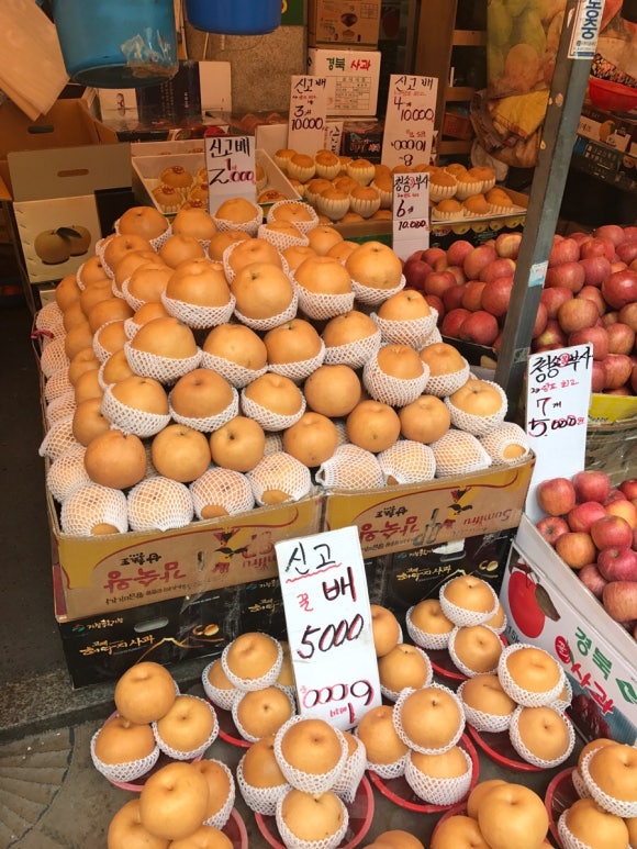 해돋이청과 이미지
