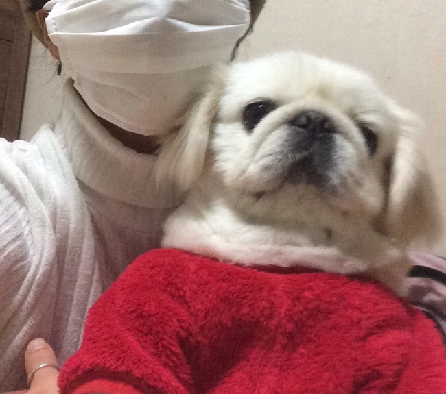 퍼시픽스탠다드마켓 이미지
