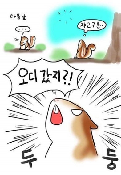 다람쥐신발 이미지