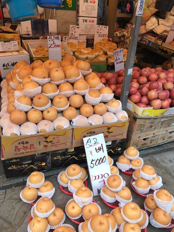 해돋이청과 이미지