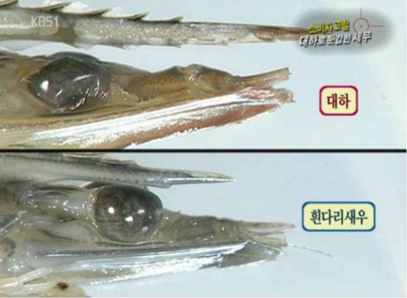 바닷길펜션 이미지